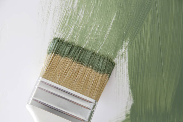 Best Mold Odor Removal Services  in Durango, CO