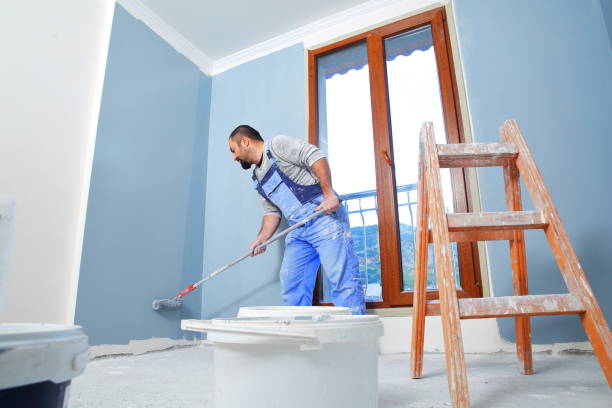Best Water Damage & Mold Remediation  in Durango, CO