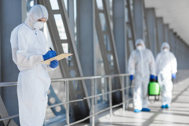 Best Mold Damage Restoration  in Durango, CO