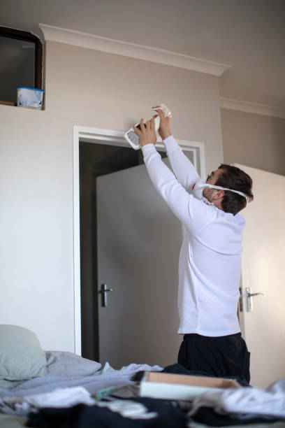 Best Asbestos and Lead Testing During Mold Inspection  in Durango, CO