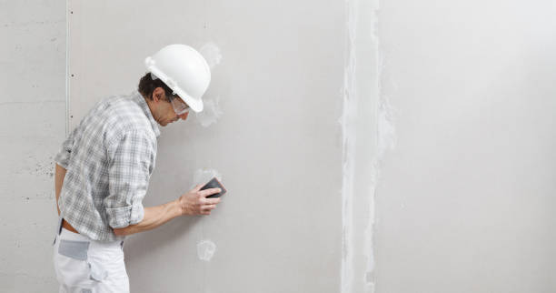 Best Mold Prevention Services  in Durango, CO