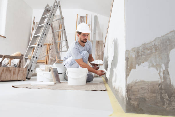 Best Crawl Space Mold Remediation  in Durango, CO