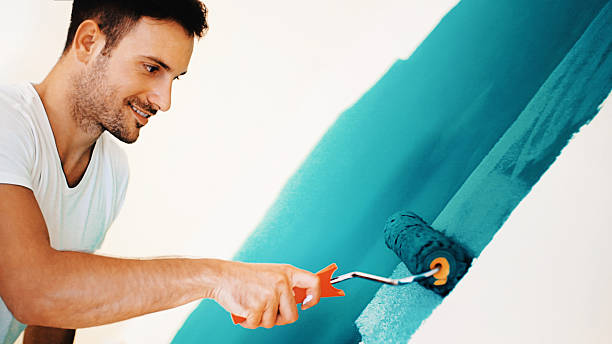  Durango, CO Mold Removal Pros