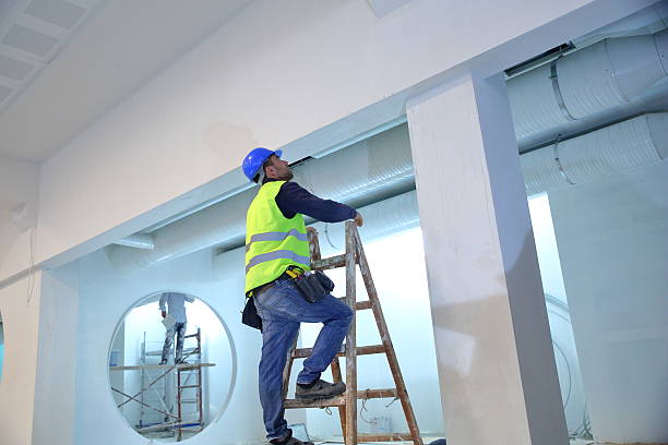 Best Black Mold Removal  in Durango, CO