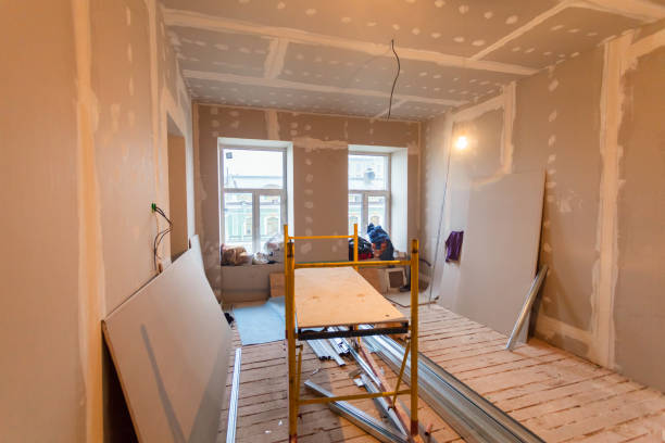 Reliable Durango, CO Mold Removal Solutions